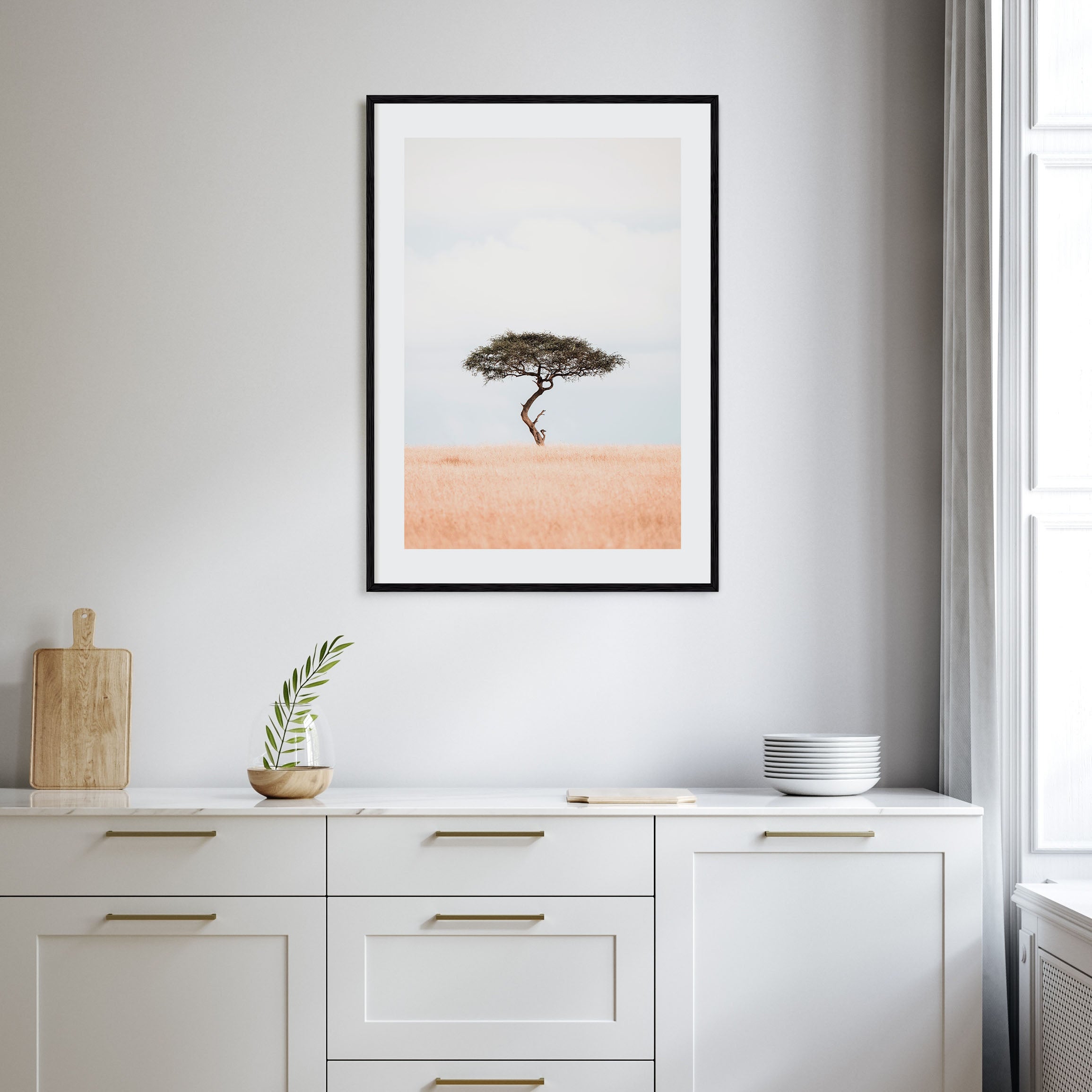 Acacia Tree Photo Color No 1 Poster