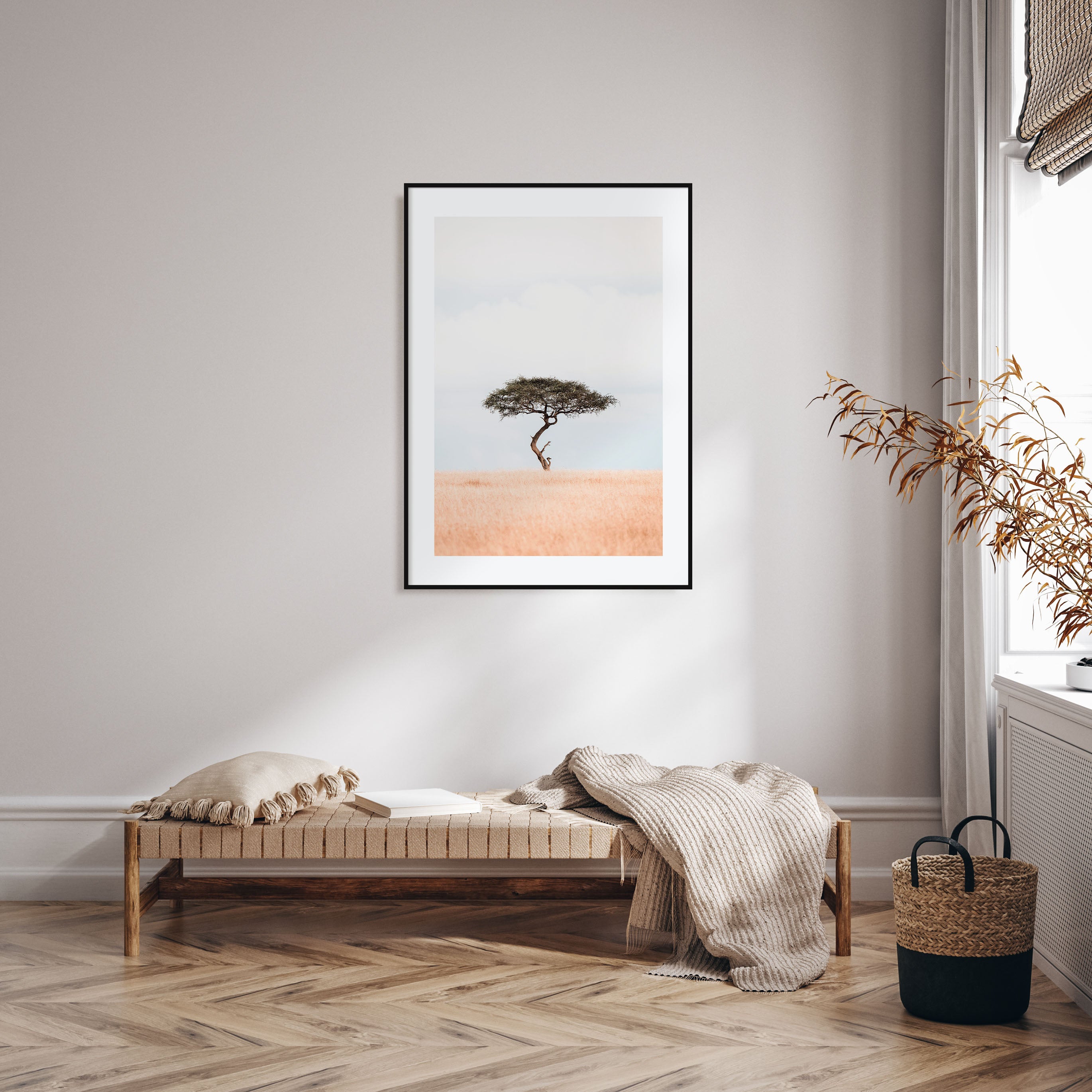 Acacia Tree Photo Color No 1 Poster