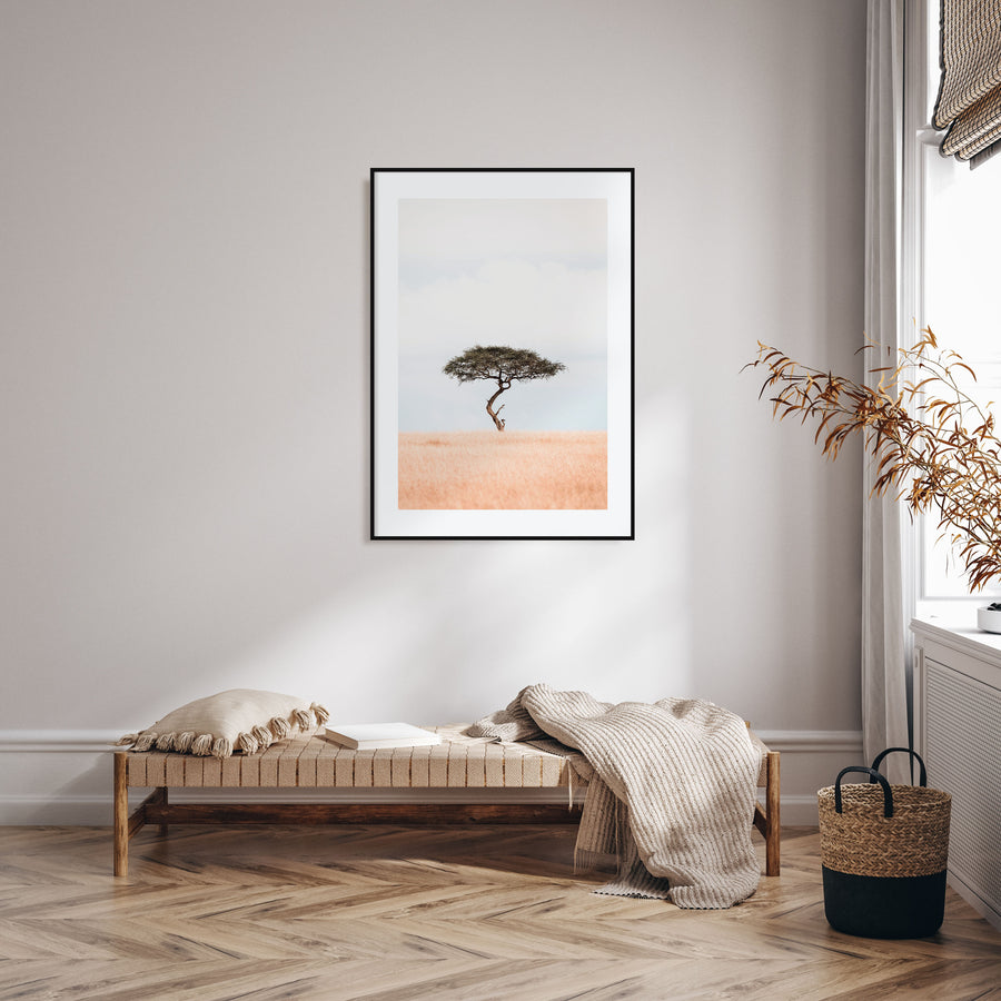 Acacia Tree Photo Color No 1 Poster