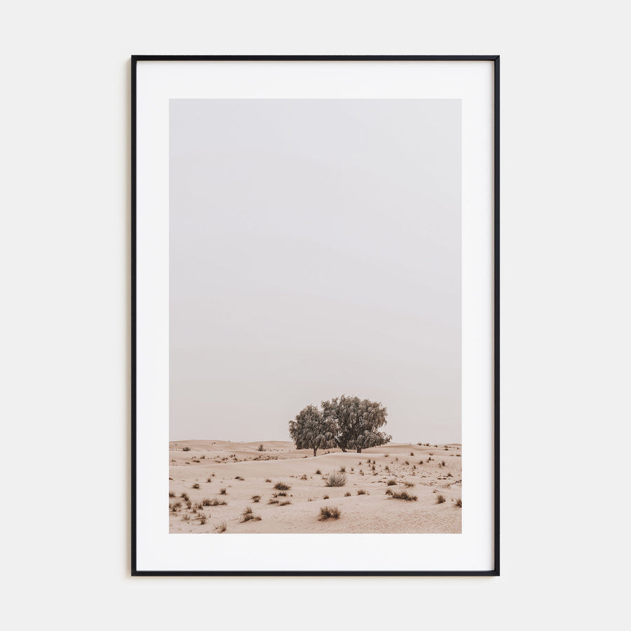 Acacia Tree Photo Color No 2 Poster