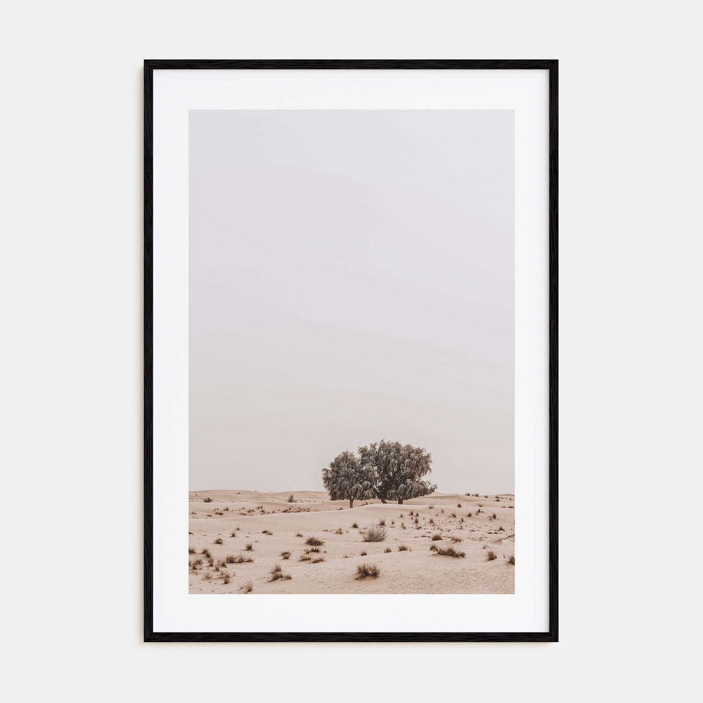 Acacia Tree Photo Color No 2 Poster