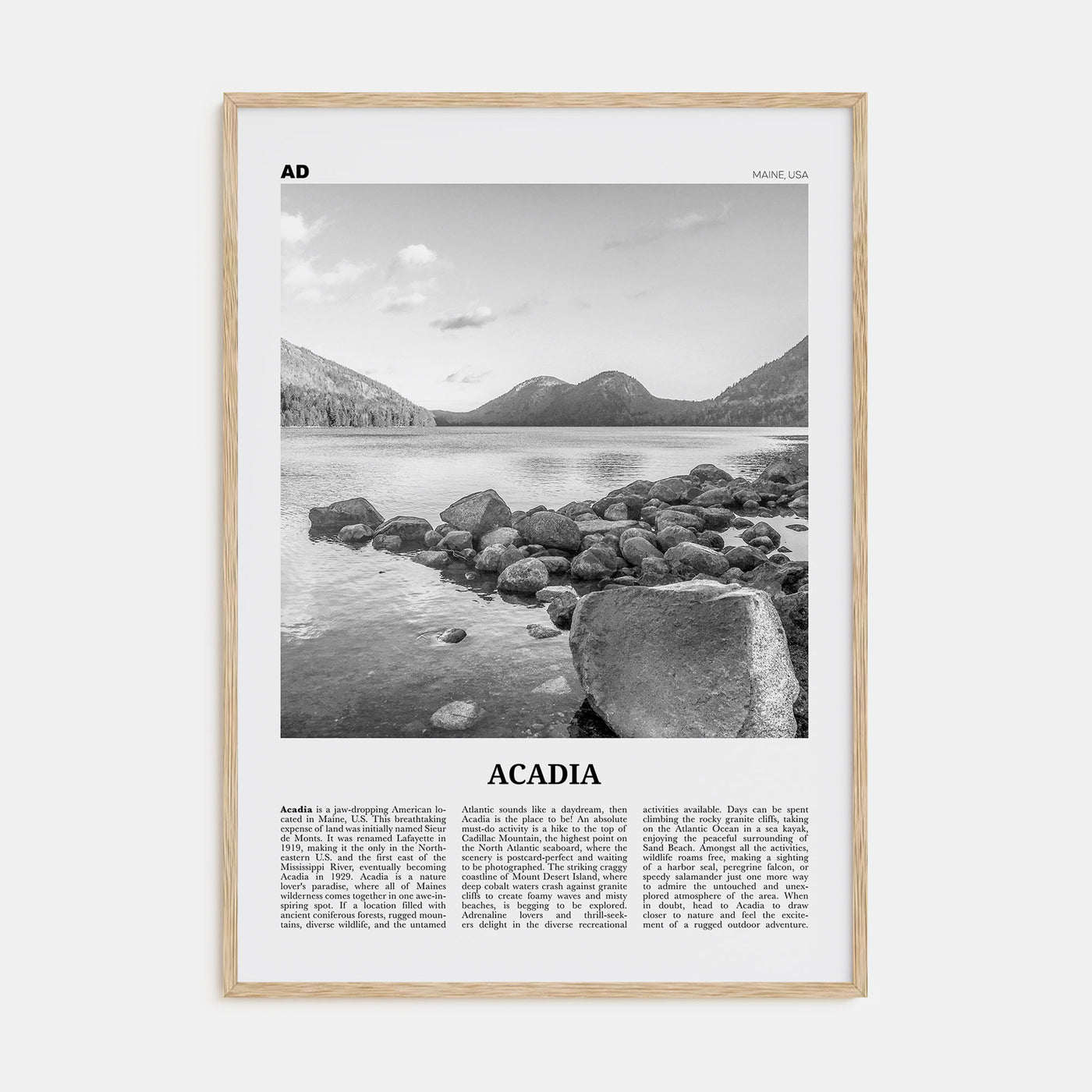 Acadia National Park Travel B&W Poster