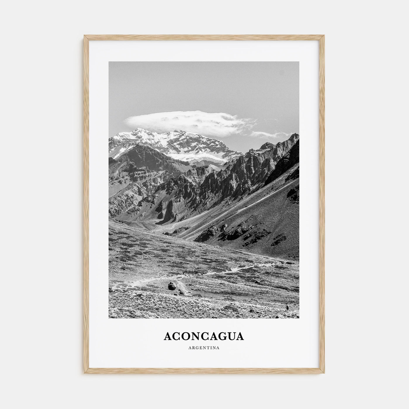 Aconcagua Portrait B&W Poster