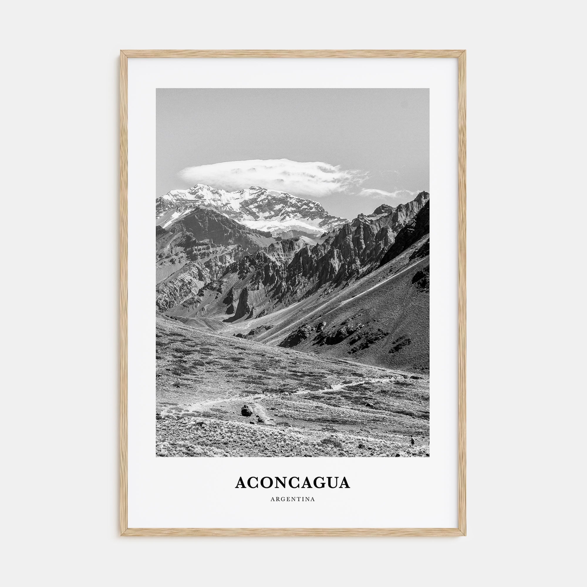 Aconcagua Portrait B&W Poster