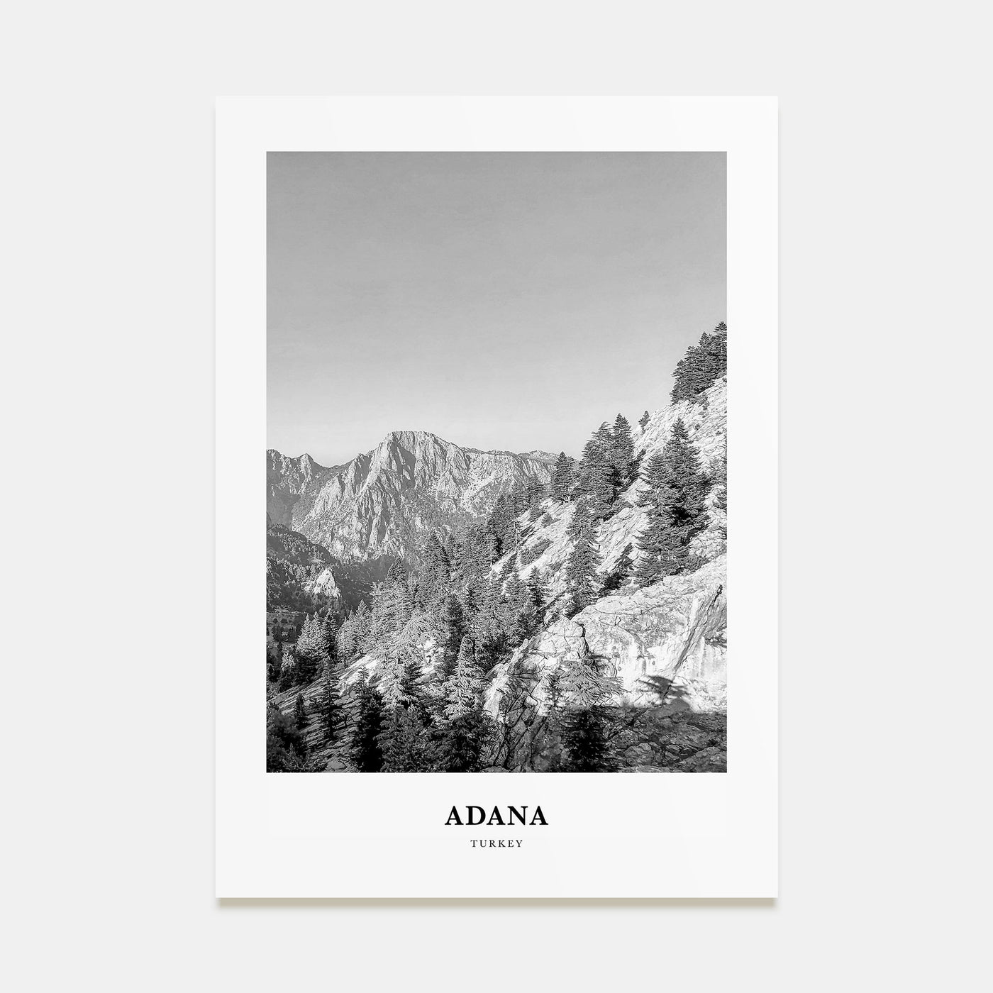 Adana Portrait B&W Poster