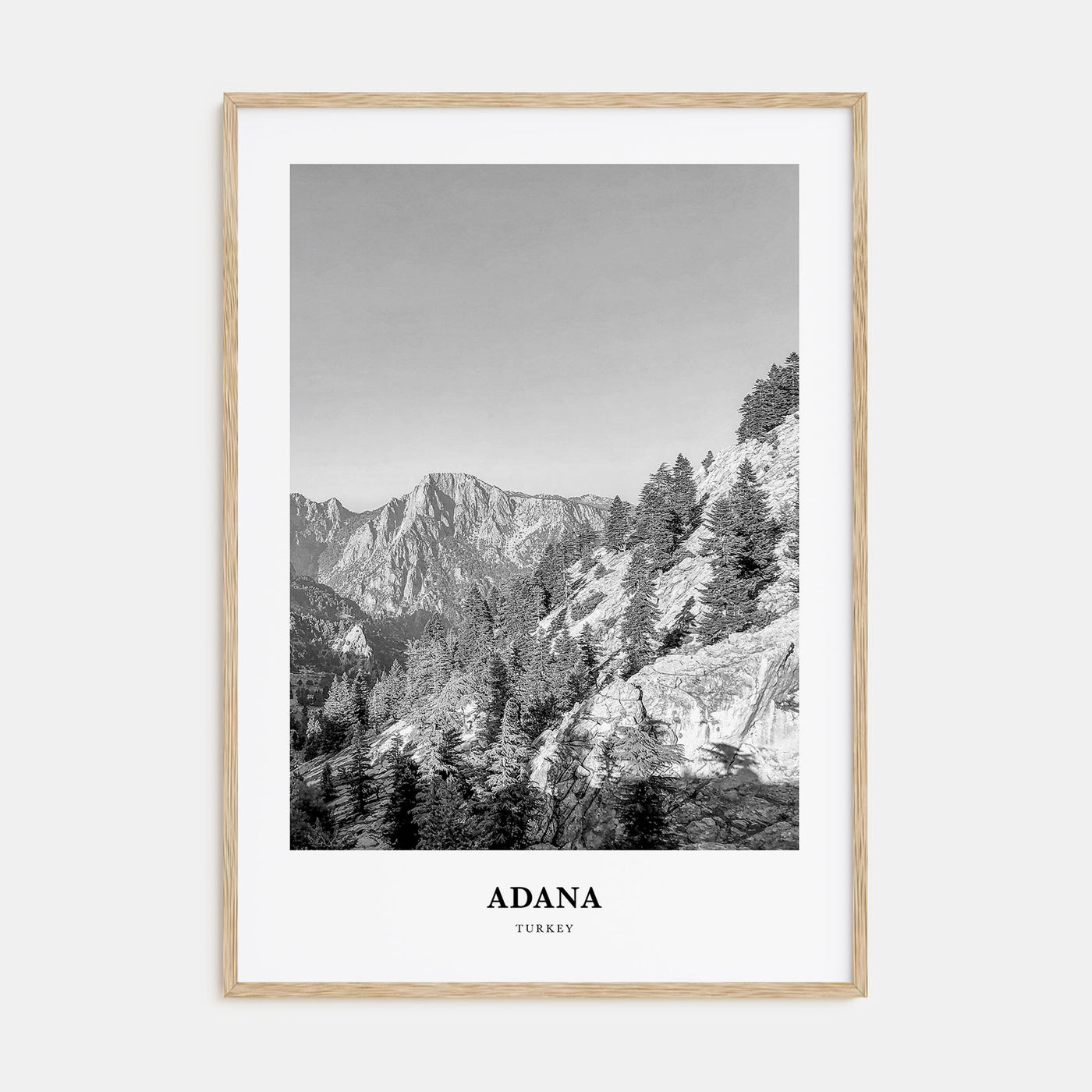 Adana Portrait B&W Poster