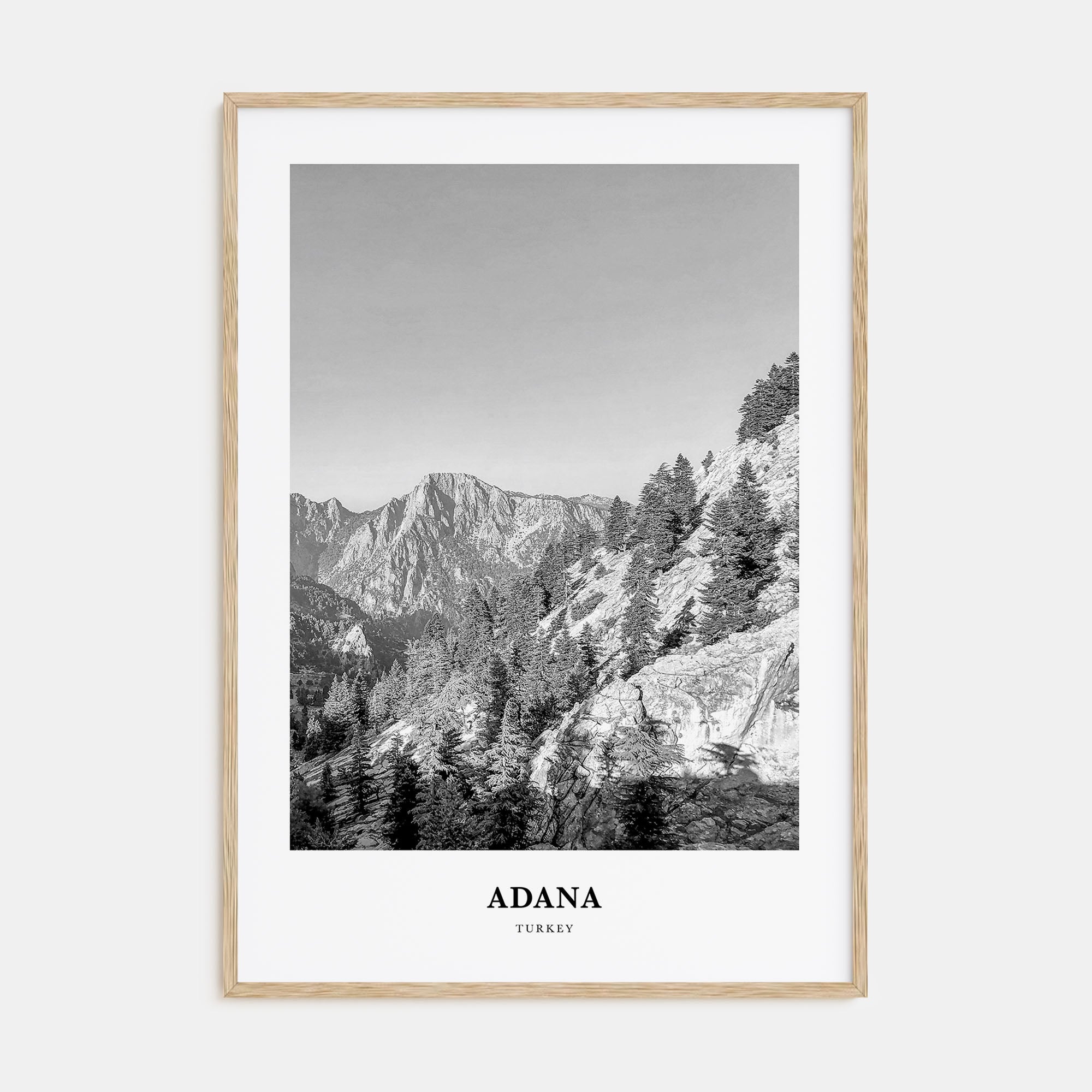 Adana Portrait B&W Poster