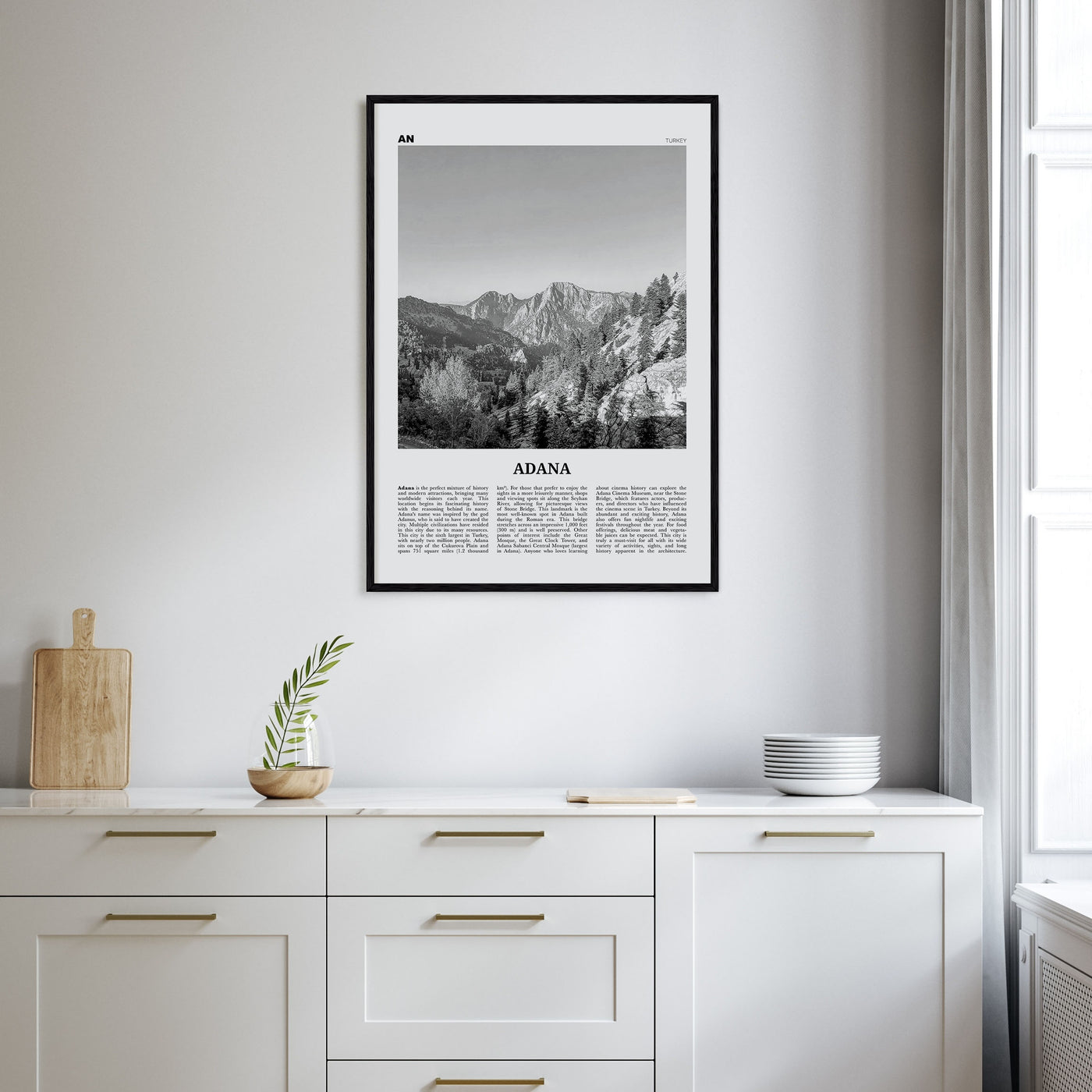 Adana Travel B&W Poster