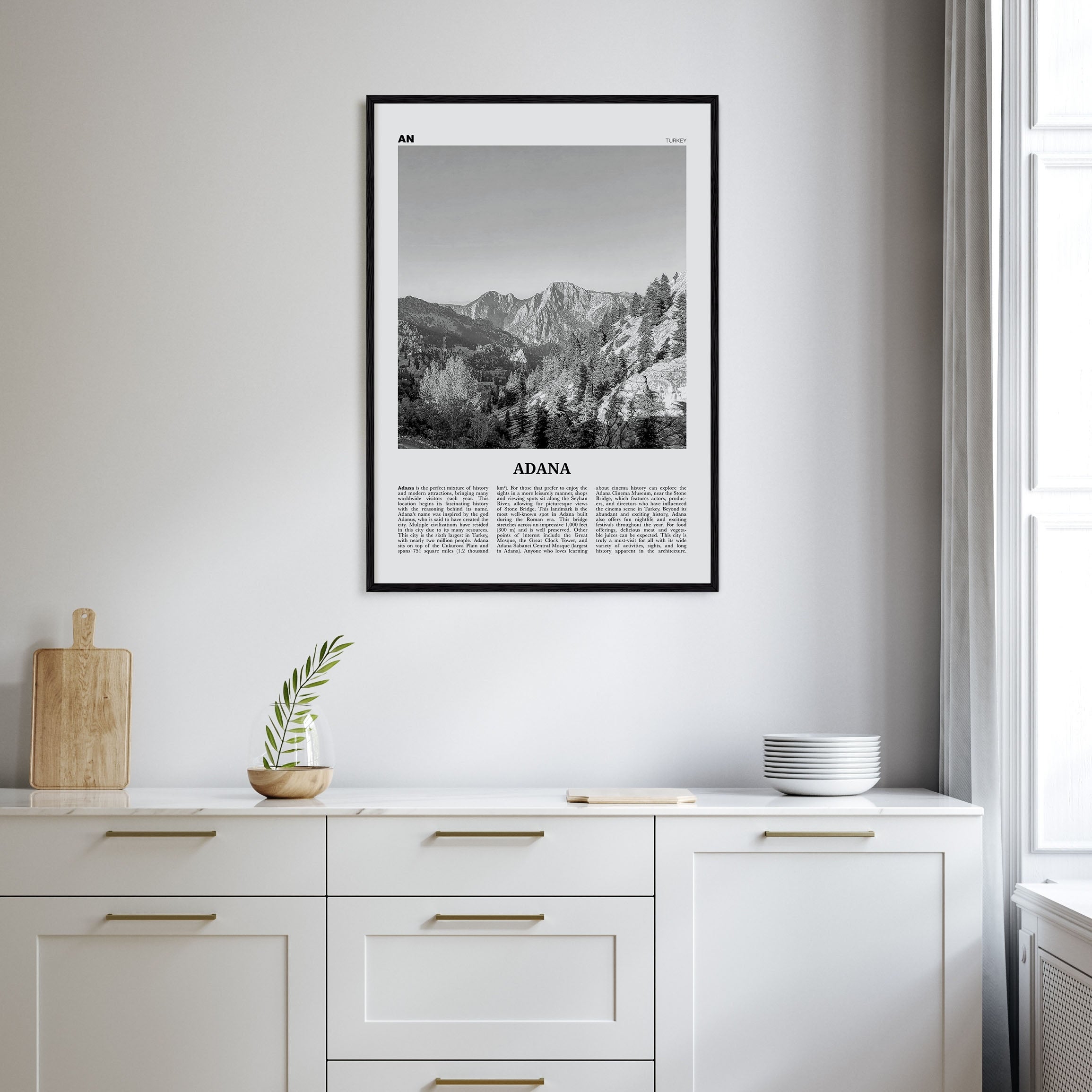 Adana Travel B&W Poster