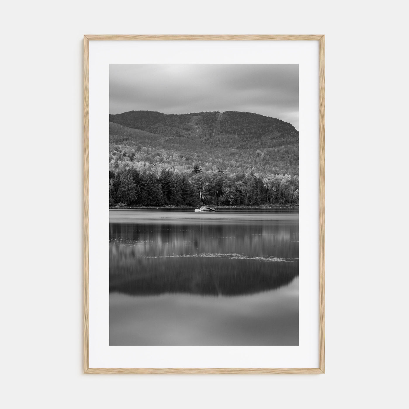 Adirondack Mountains Photo B&W No 1 Poster