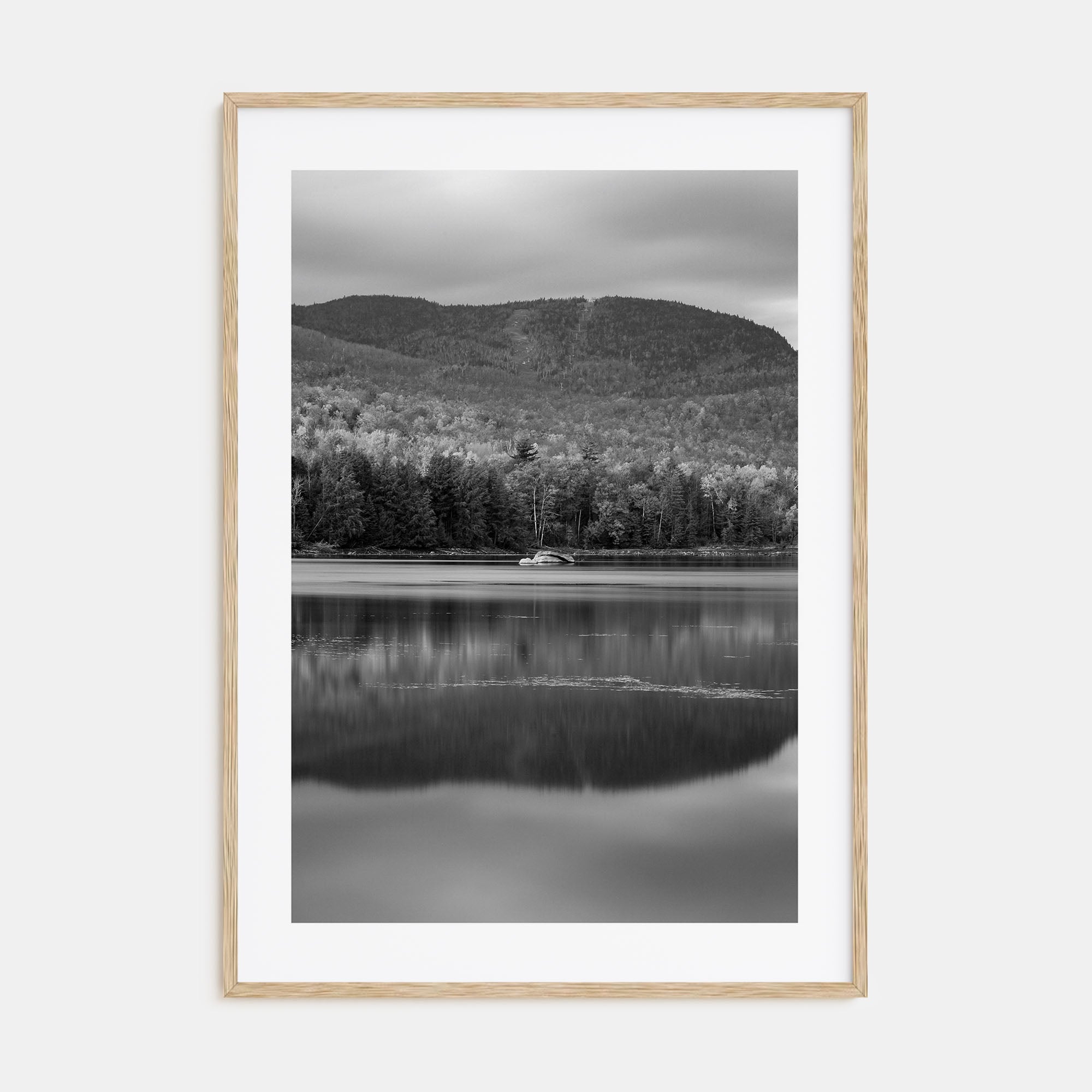 Adirondack Mountains Photo B&W No 1 Poster