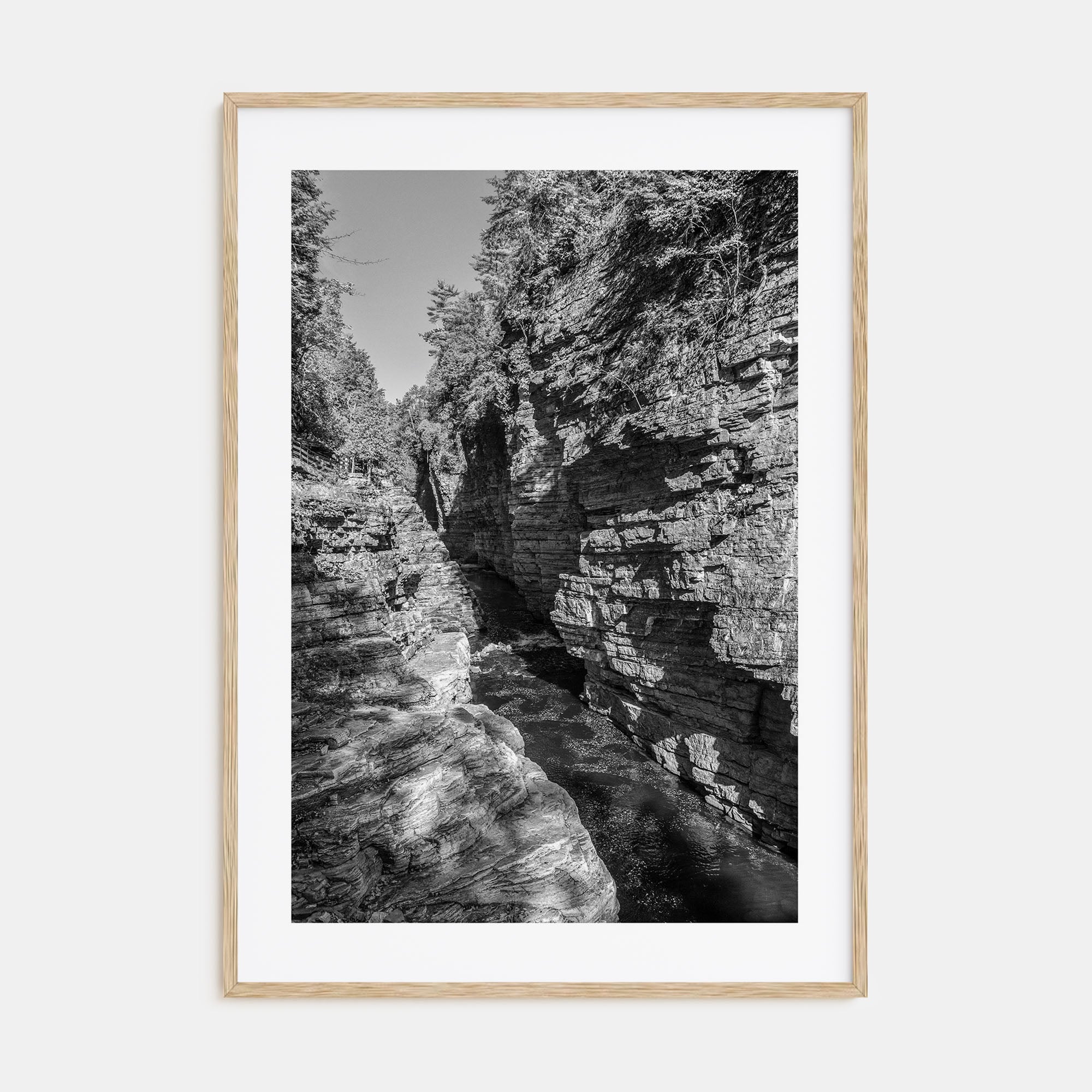 Adirondack Mountains Photo B&W No 2 Poster