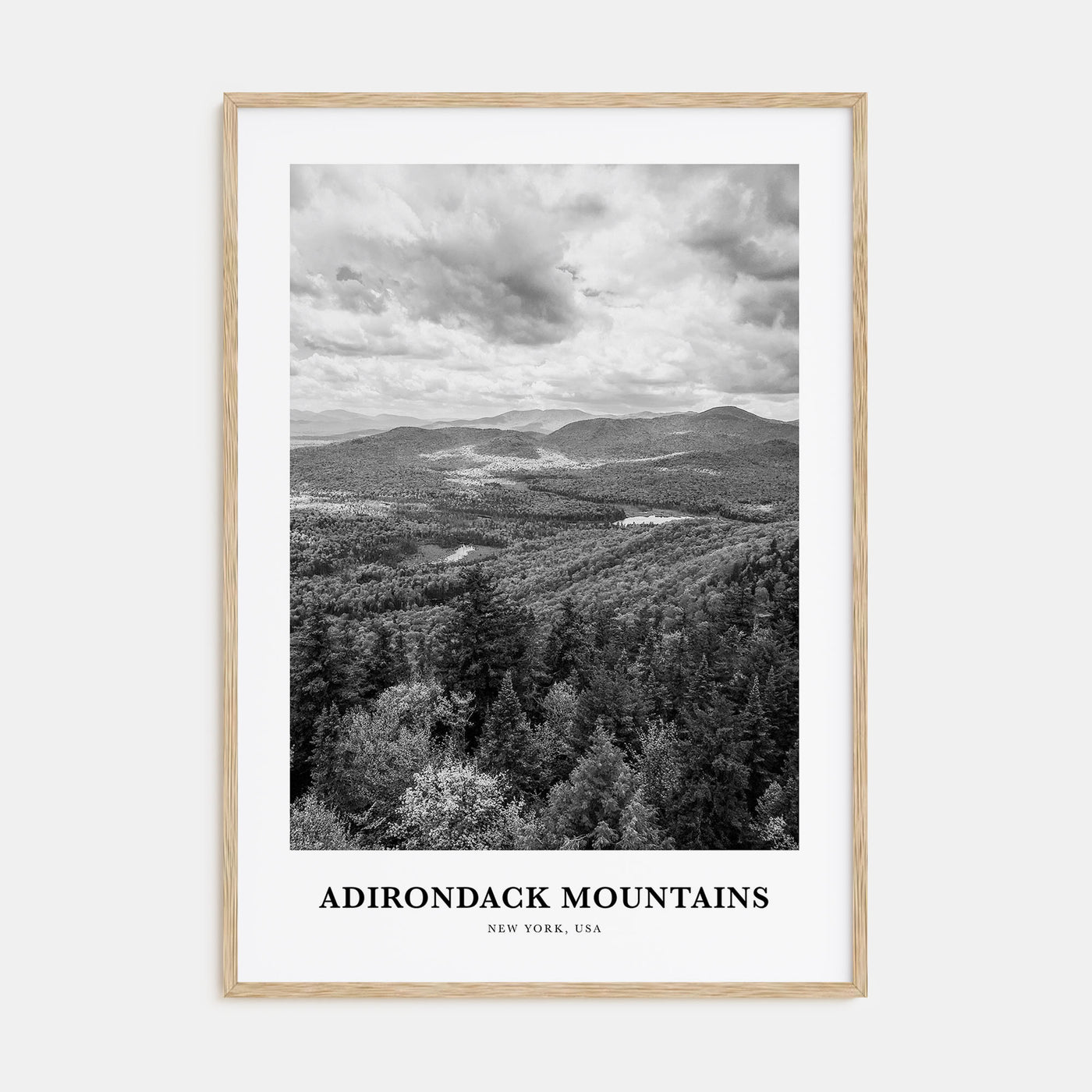 Adirondack Mountains Portrait B&W Poster