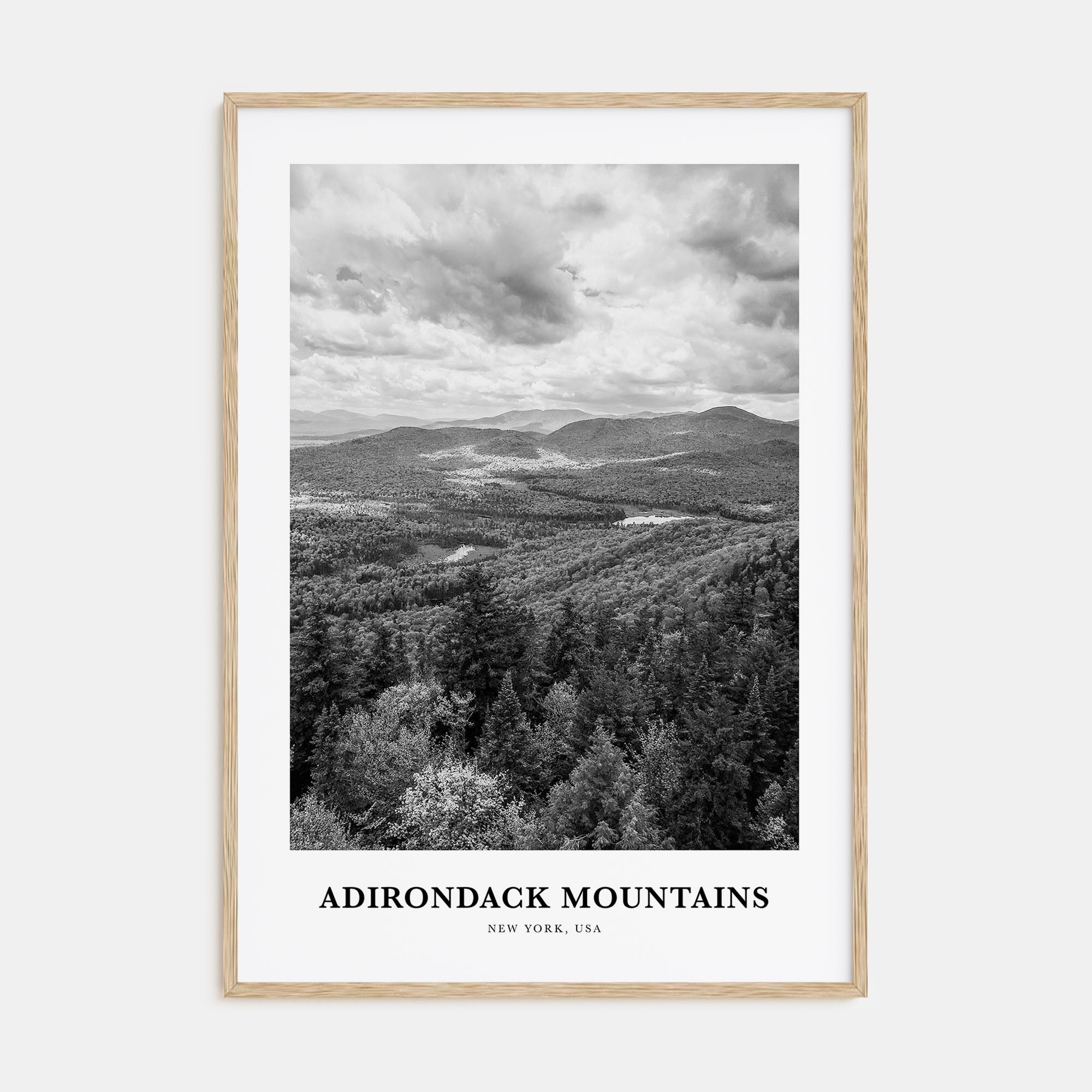 Adirondack Mountains Portrait B&W Poster