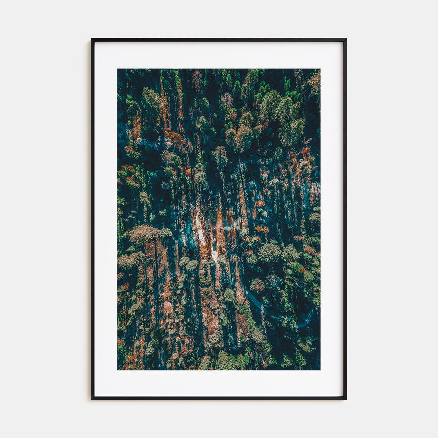 Aerial Forest Photo Color Poster