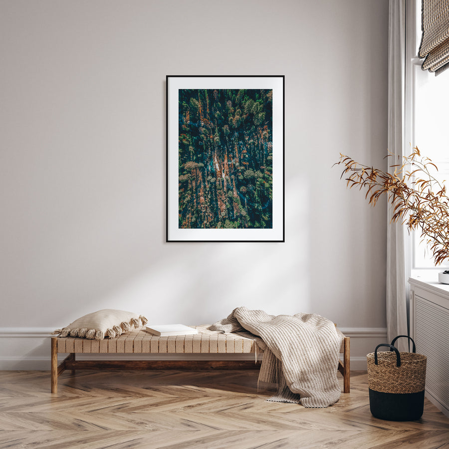 Aerial Forest Photo Color Poster