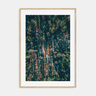 Aerial Forest Photo Color Poster