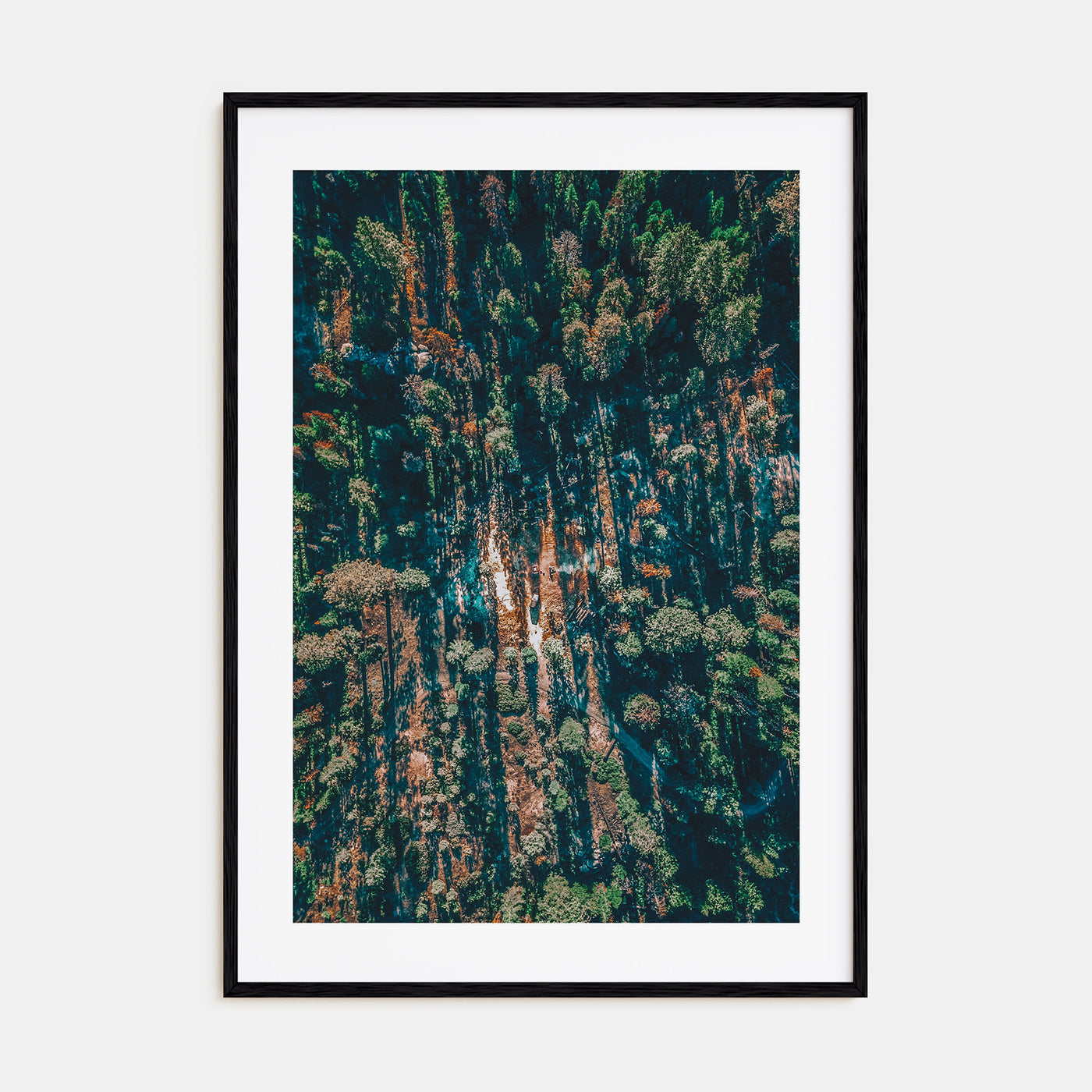 Aerial Forest Photo Color Poster