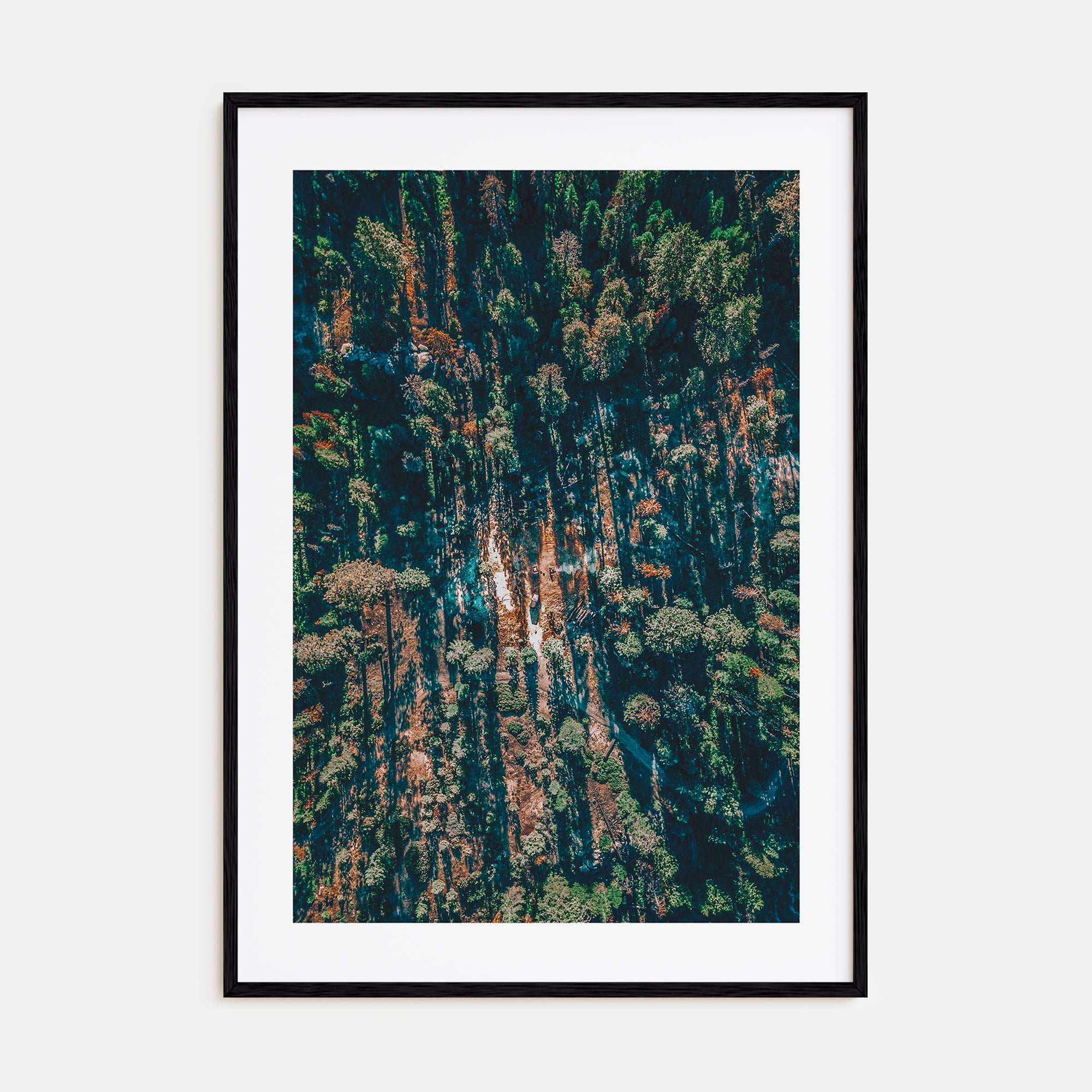 Aerial Forest Photo Color Poster