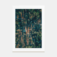 Aerial Forest Photo Color Poster