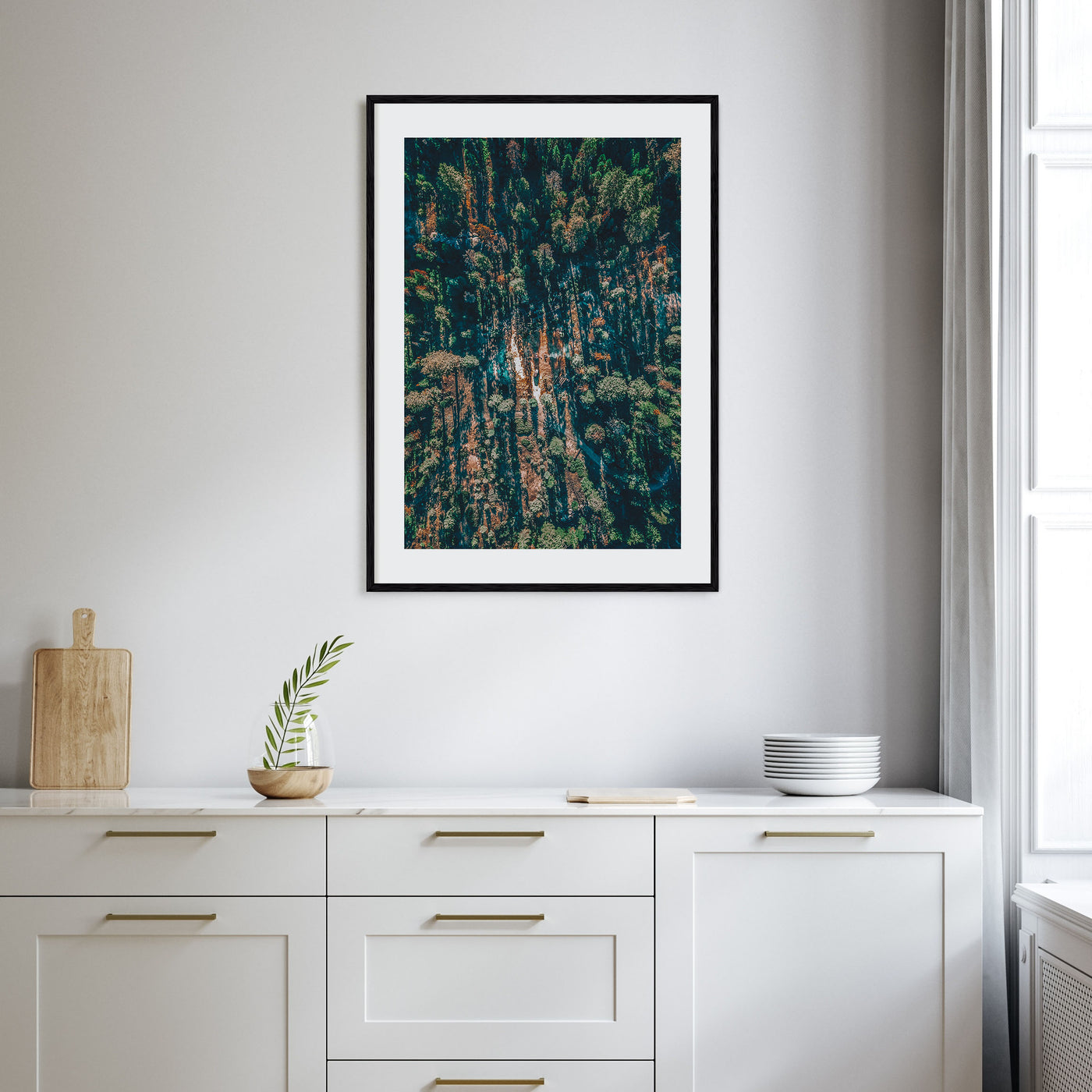 Aerial Forest Photo Color Poster