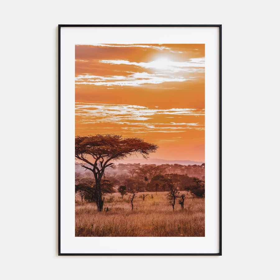 Africa Photo Color Poster