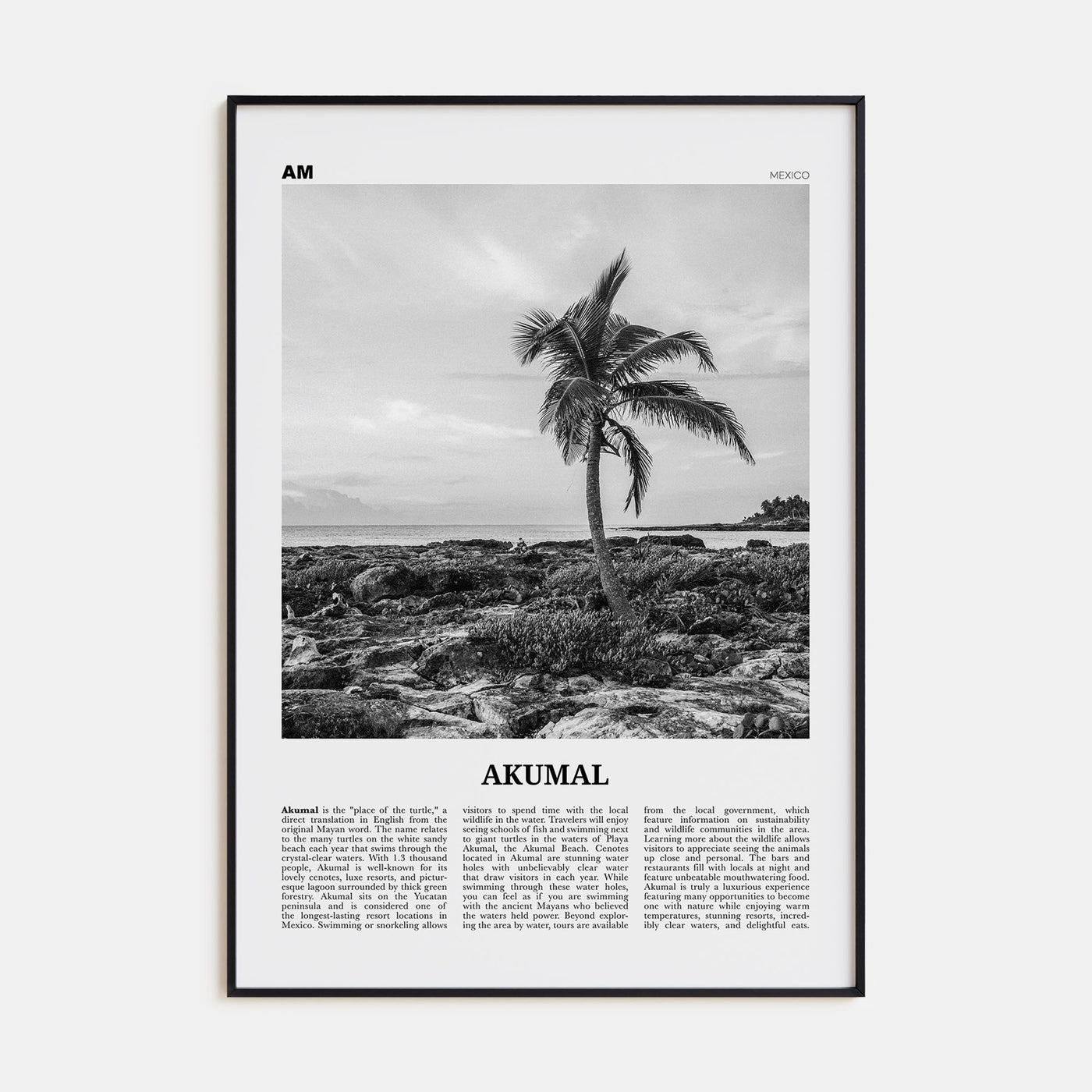 Akumal Travel B&W Poster