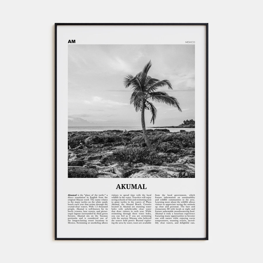 Akumal Travel B&W Poster