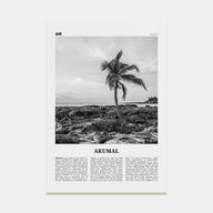 Akumal Travel B&W Poster