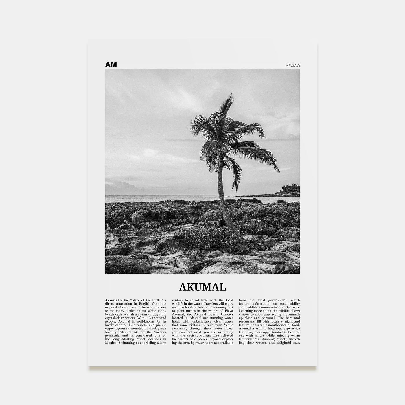 Akumal Travel B&W Poster