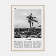 Akumal Travel B&W Poster