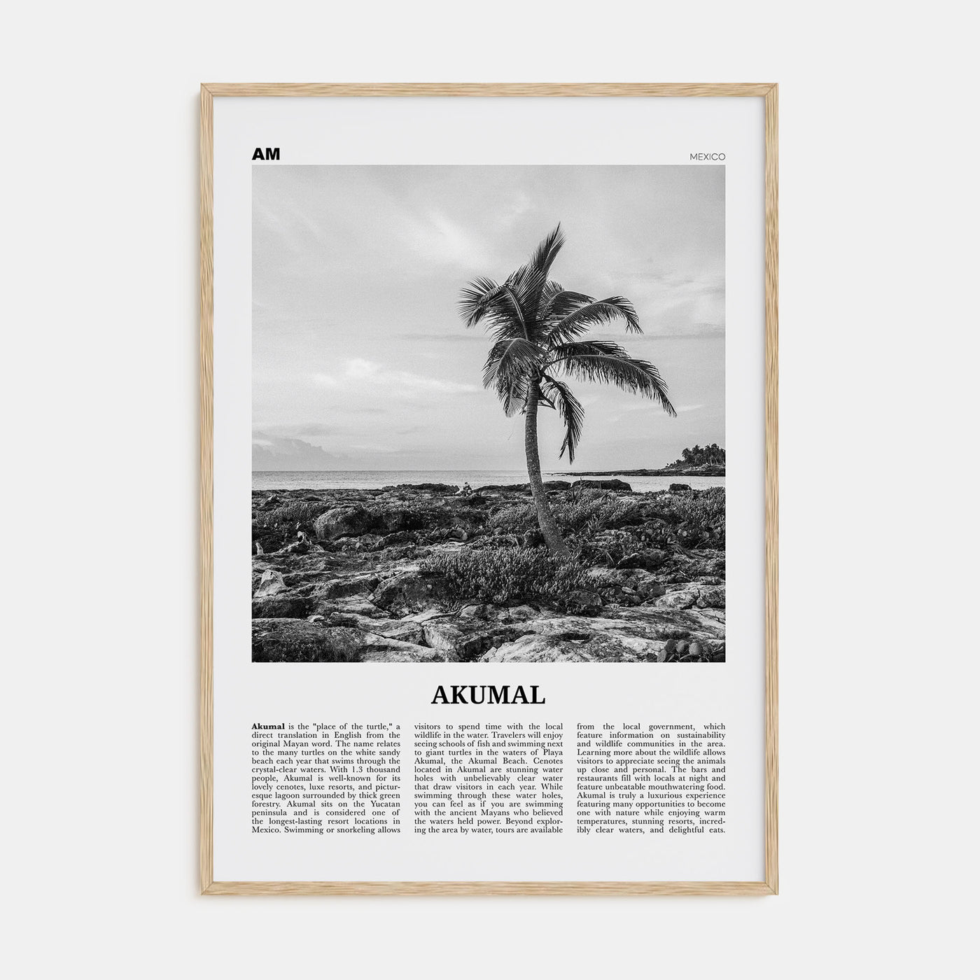 Akumal Travel B&W Poster