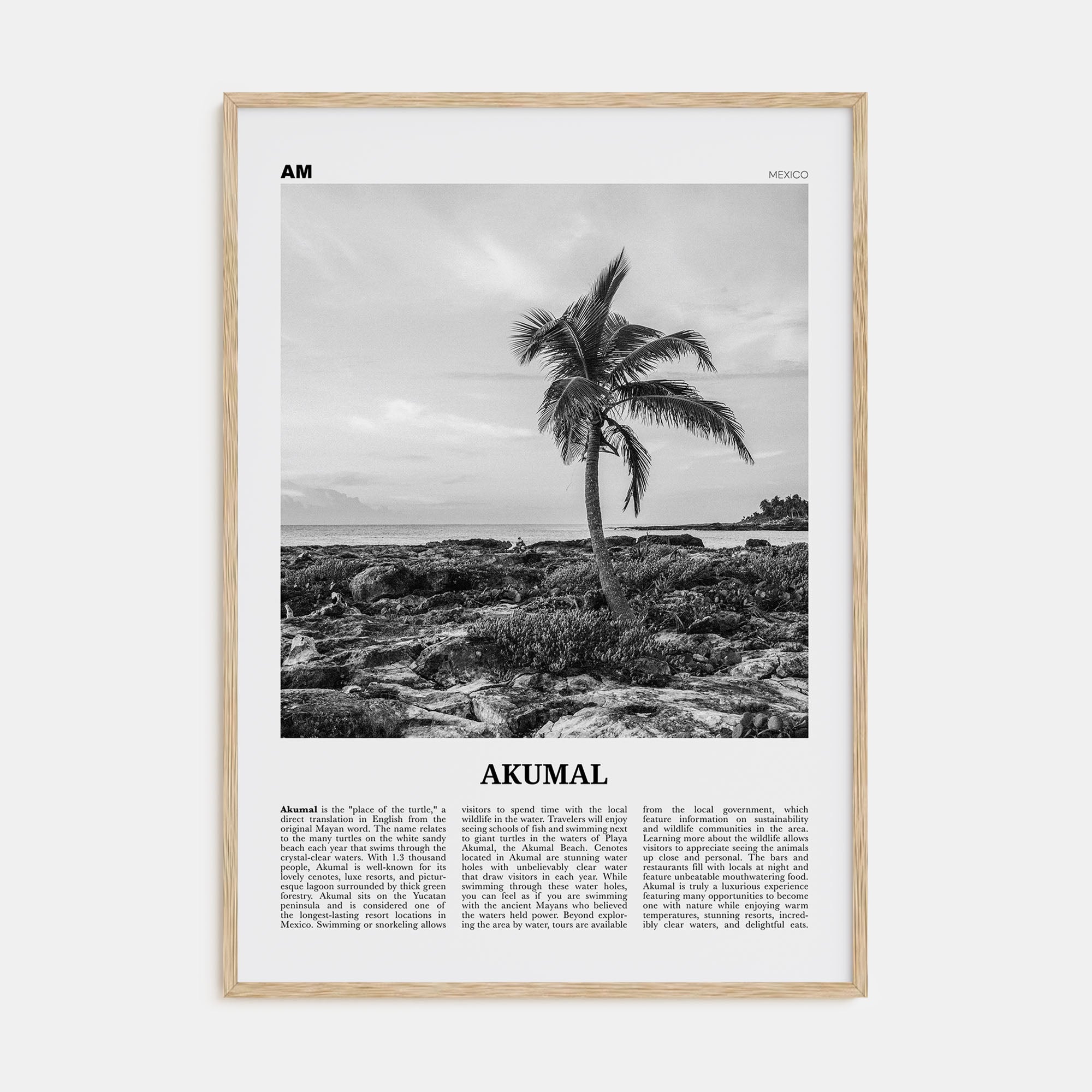 Akumal Travel B&W Poster