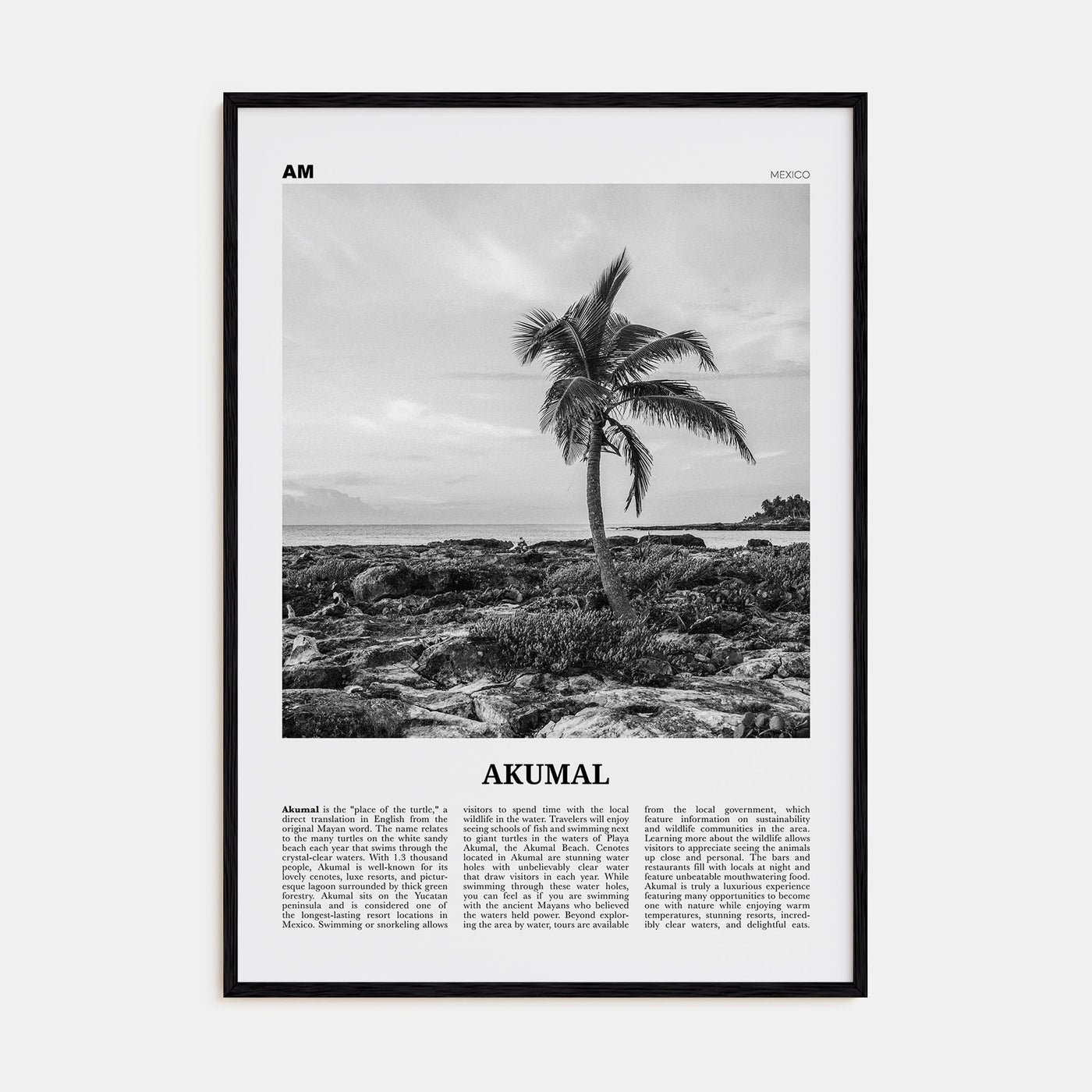 Akumal Travel B&W Poster