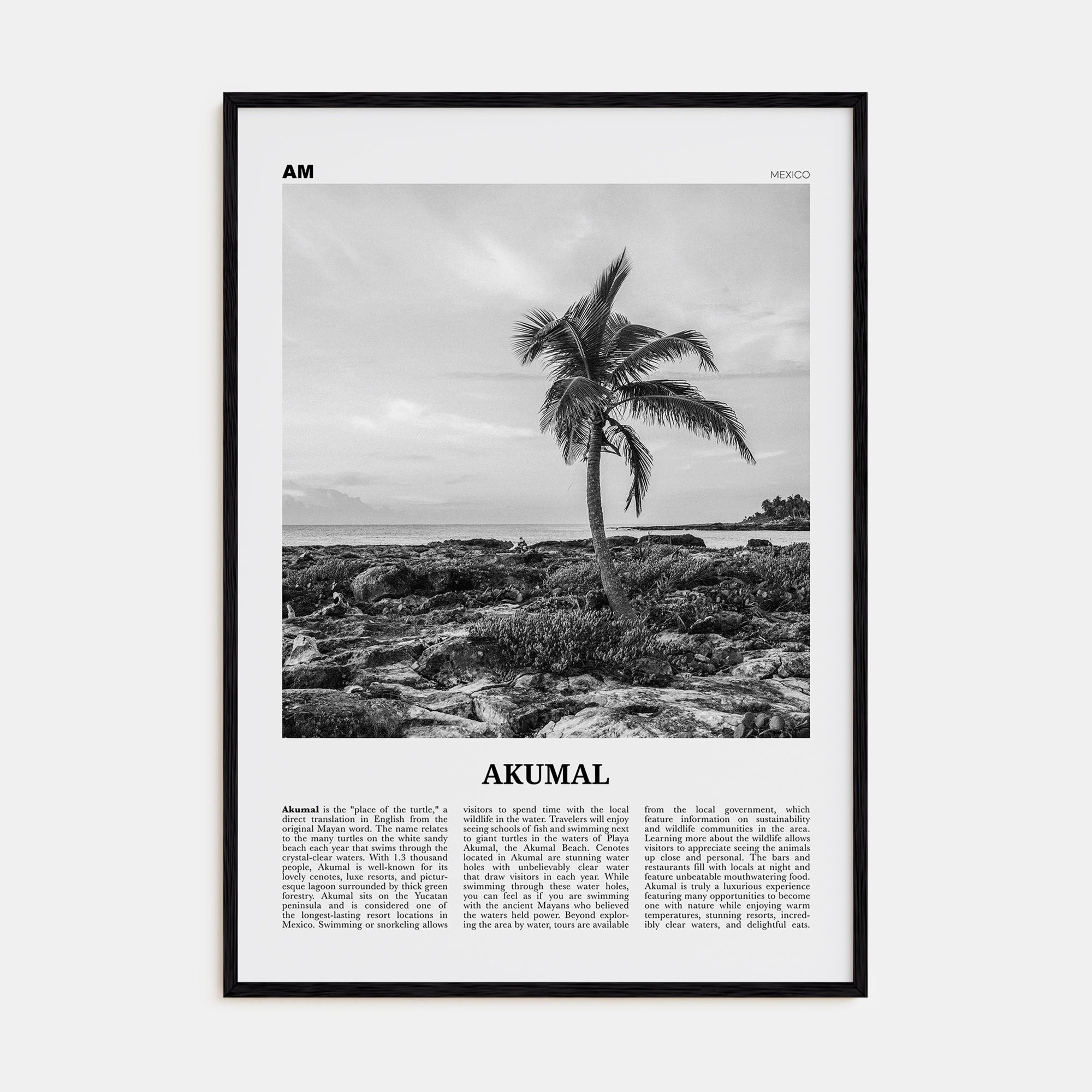 Akumal Travel B&W Poster
