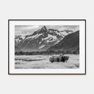 Alaska Landscape B&W Poster