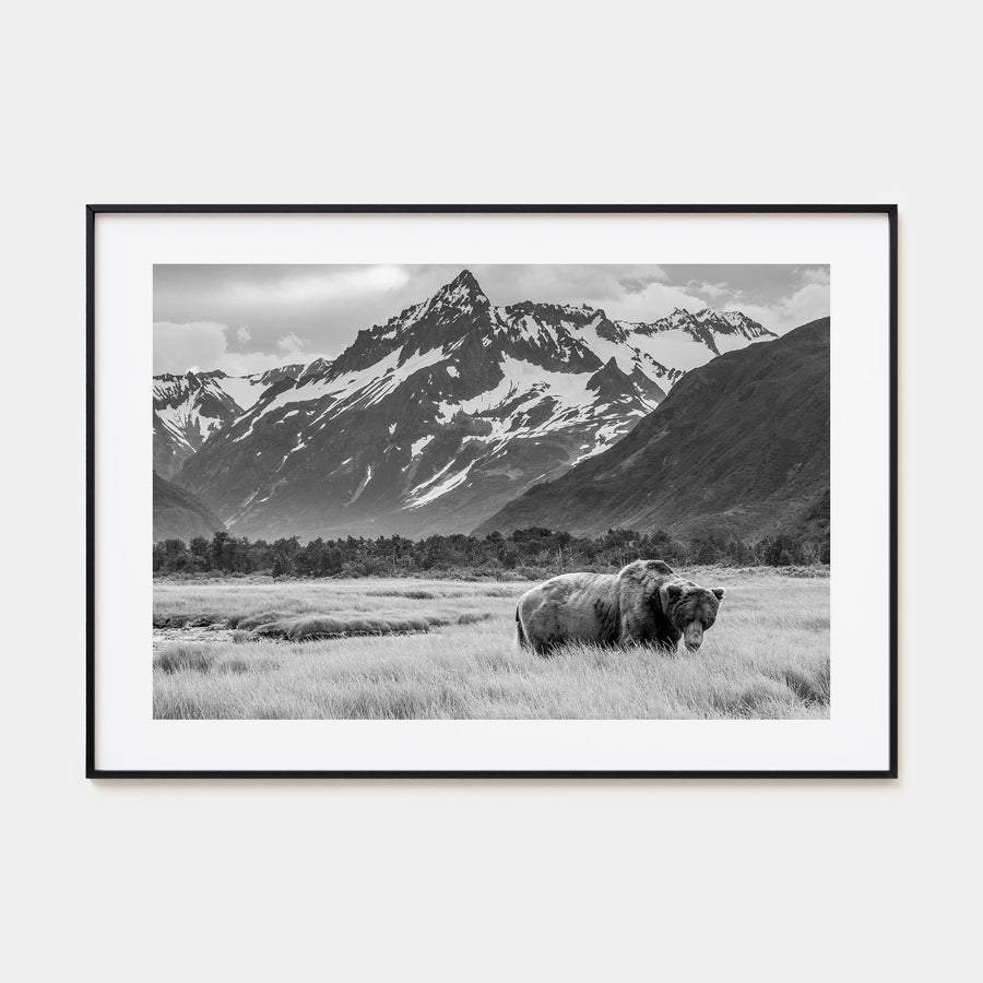 Alaska Landscape B&W Poster