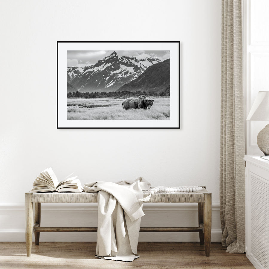Alaska Landscape B&W Poster