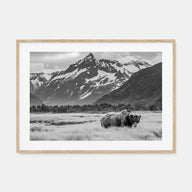 Alaska Landscape B&W Poster