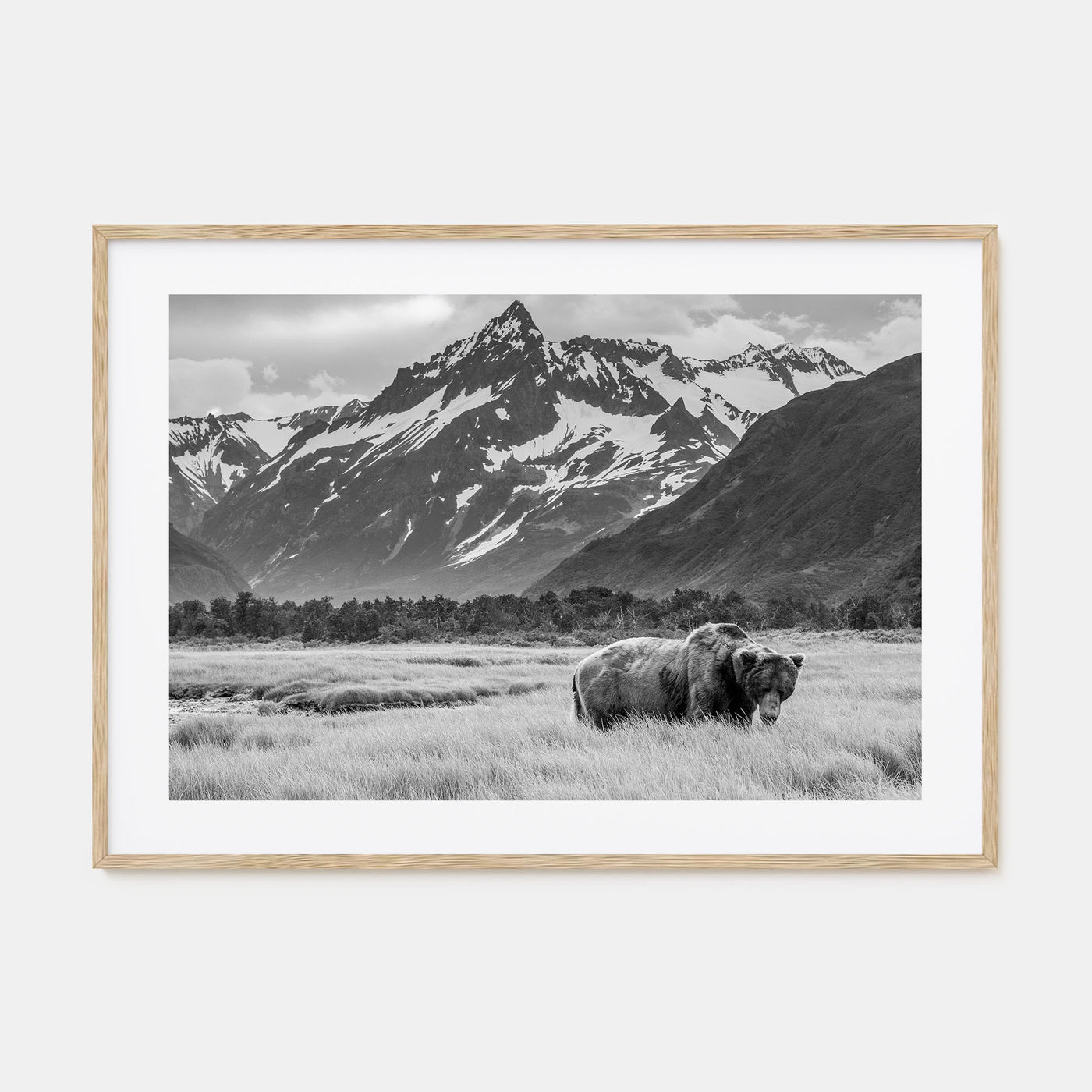 Alaska Landscape B&W Poster