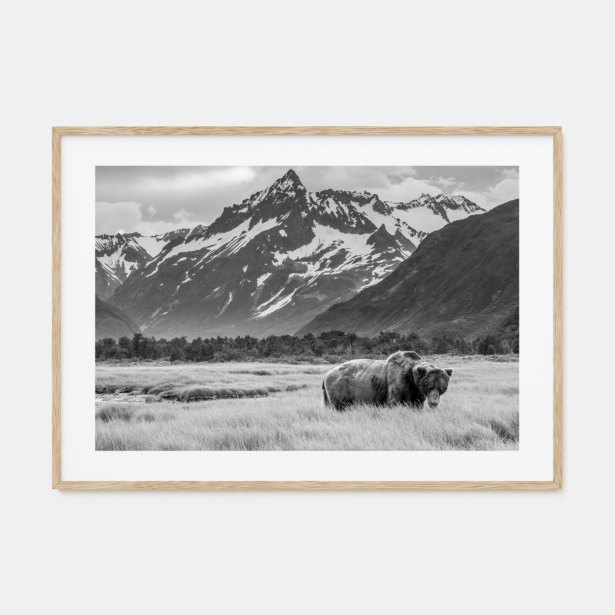 Alaska Landscape B&W Poster