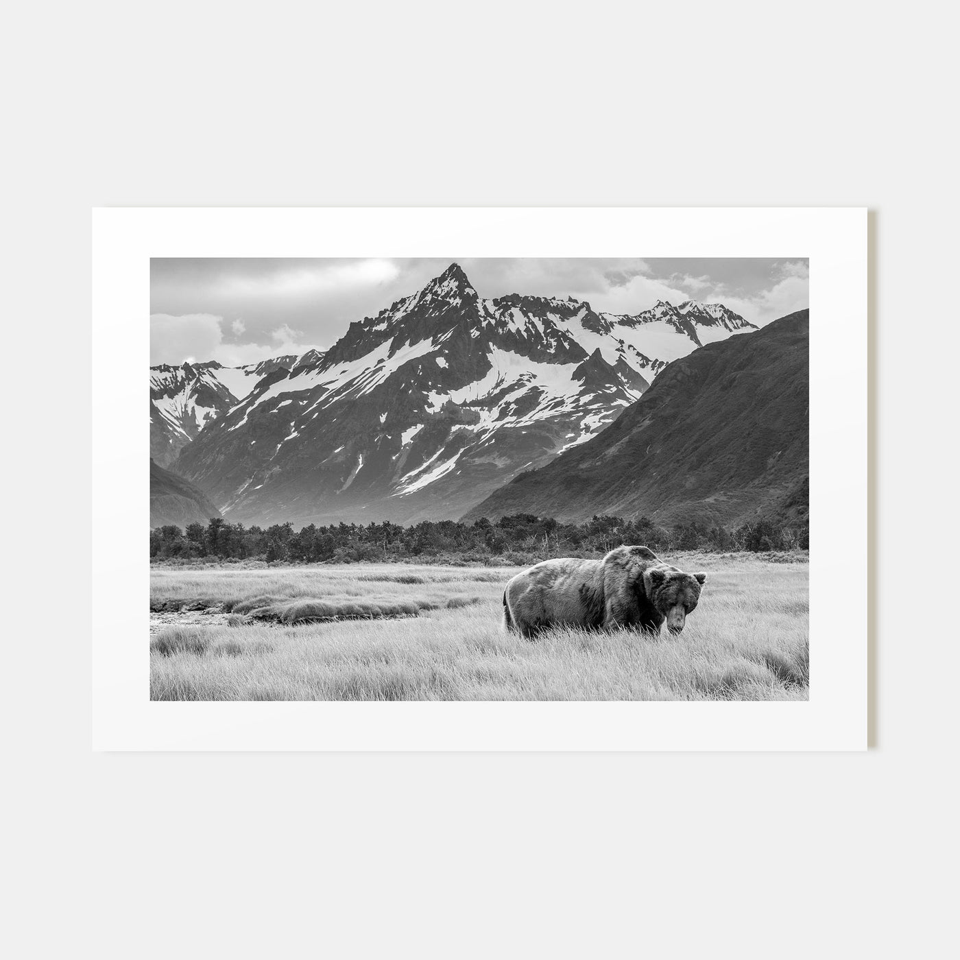 Alaska Landscape B&W Poster