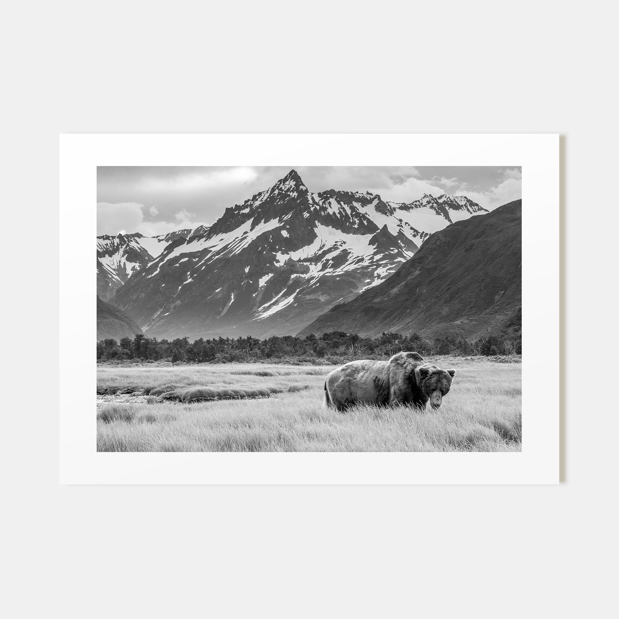 Alaska Landscape B&W Poster