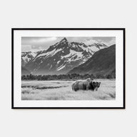 Alaska Landscape B&W Poster
