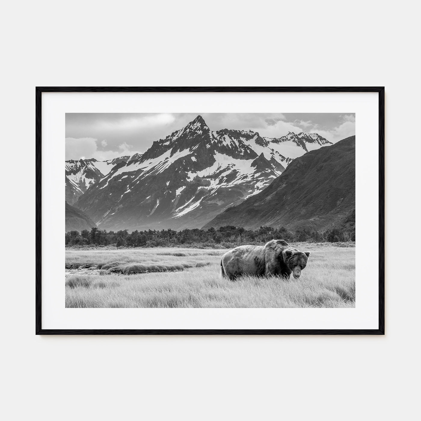 Alaska Landscape B&W Poster