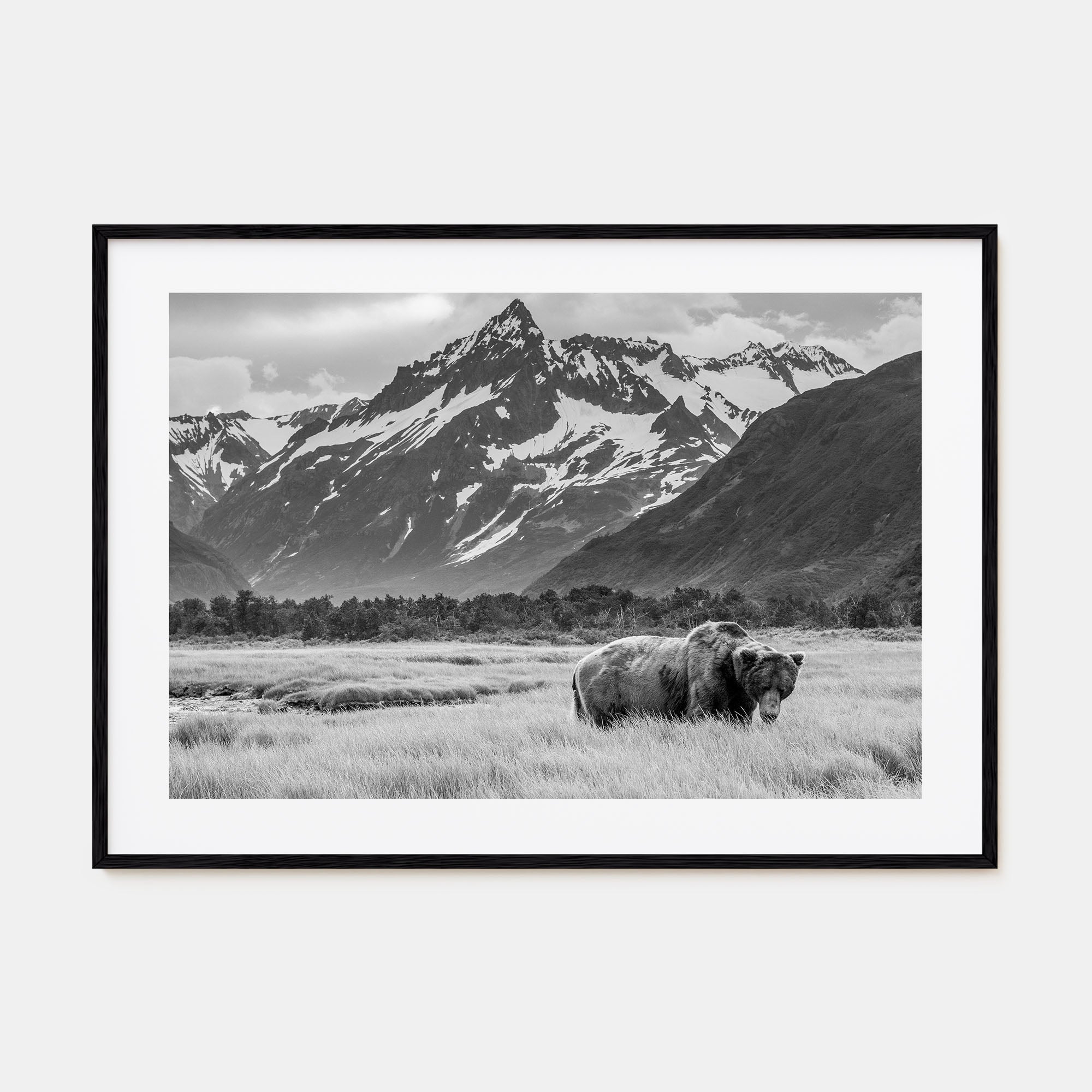 Alaska Landscape B&W Poster