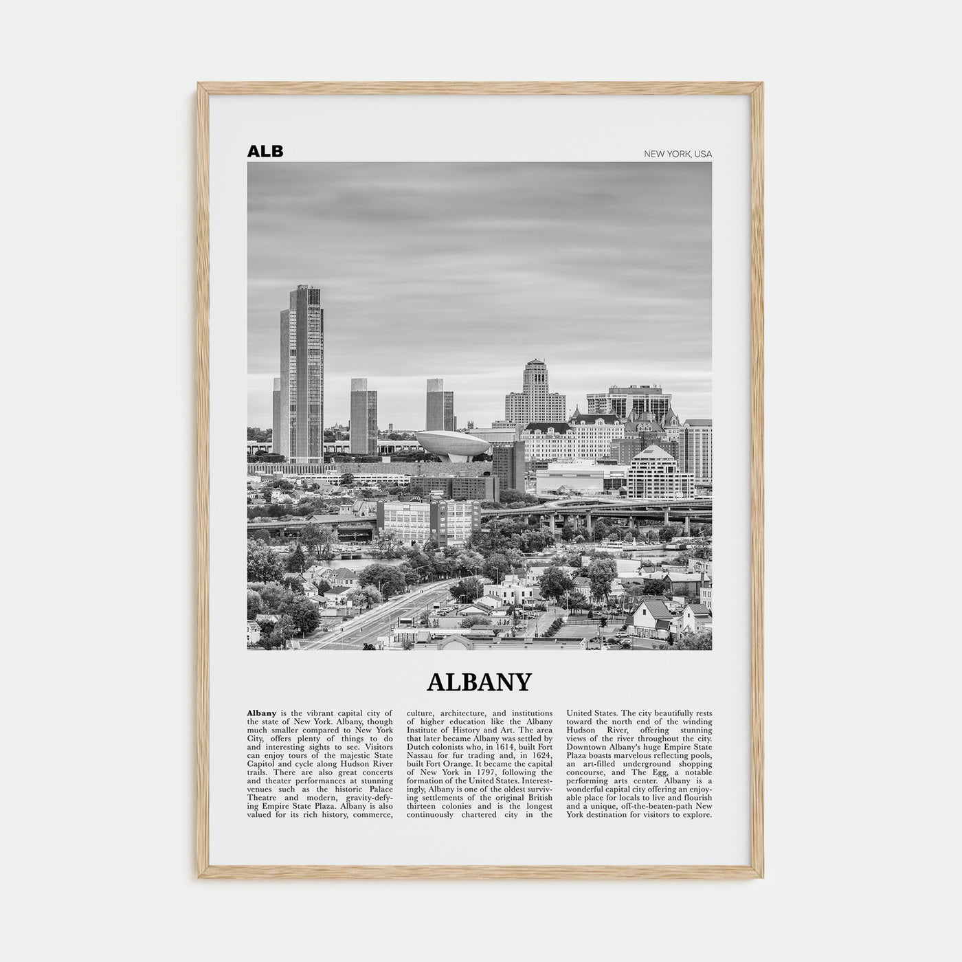 Albany, New York Travel B&W Poster