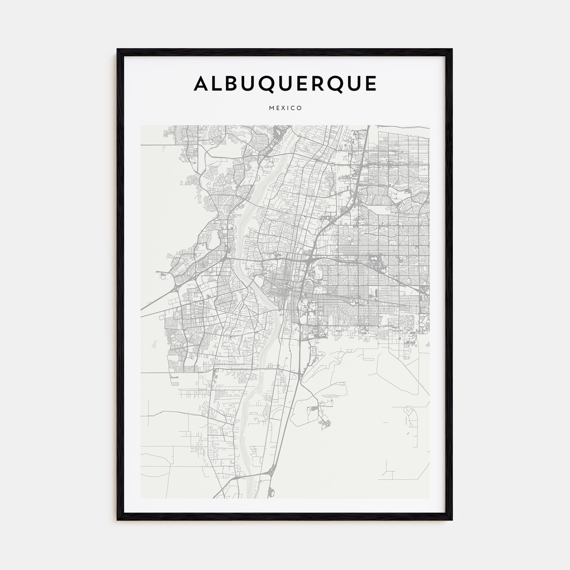 Albuquerque Map Portrait Poster