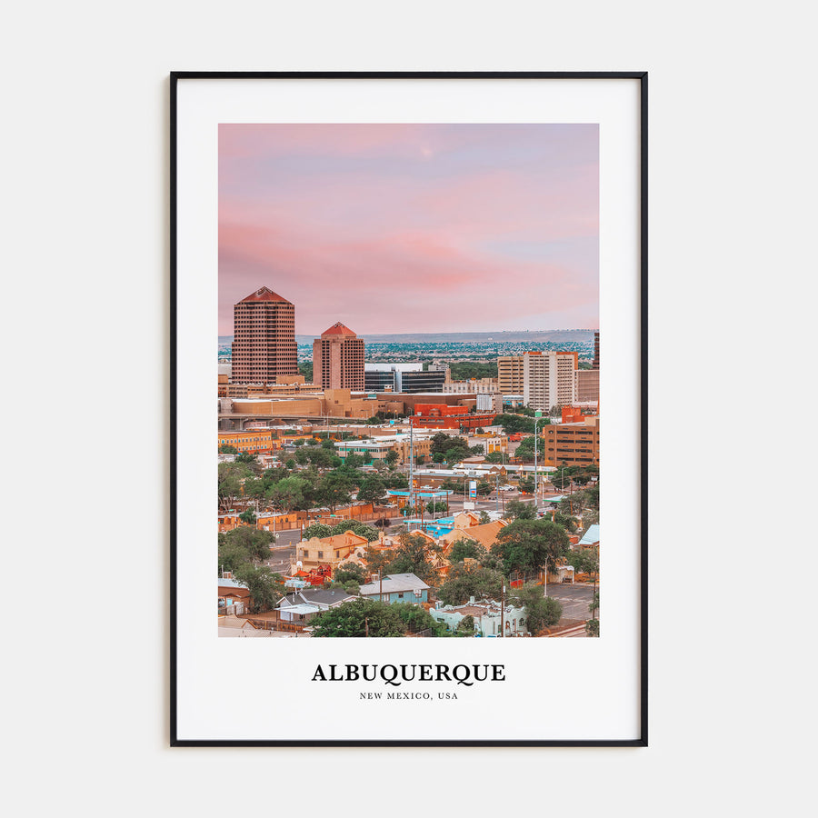 Albuquerque Portrait Color Poster