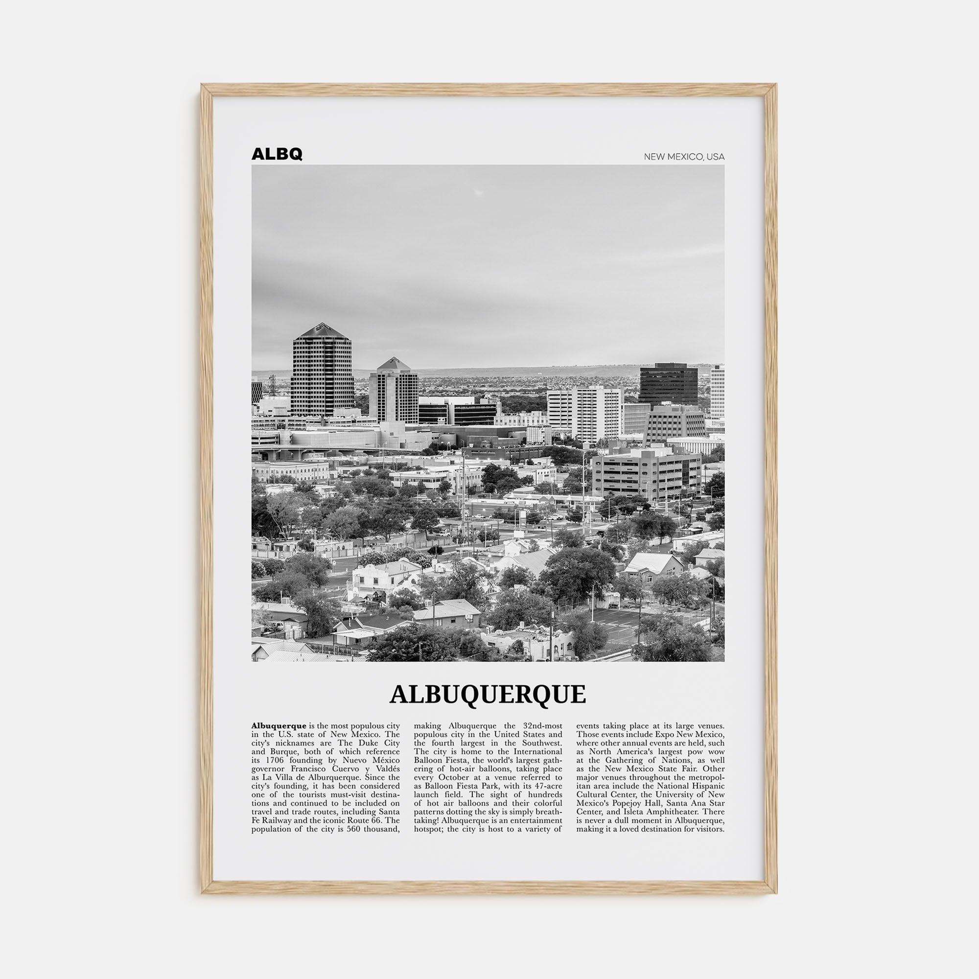 Albuquerque Travel B&W Poster